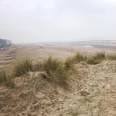 In Near The Beach, Cleaning Included * Koksijde