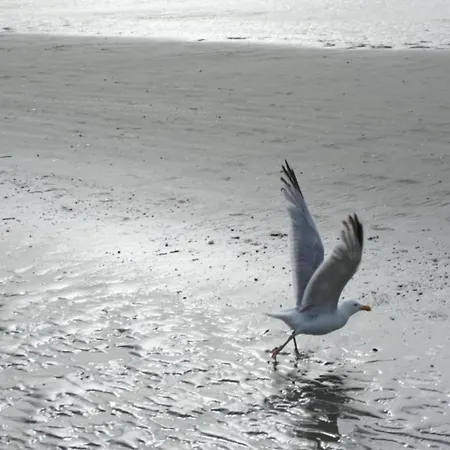 In Near The Beach, Cleaning Included *
