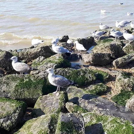 In Near The Beach, Cleaning Included * Коксейде